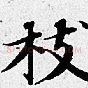 枝