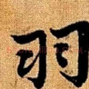羽