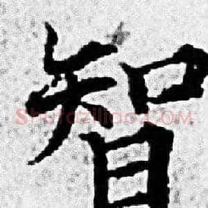 智