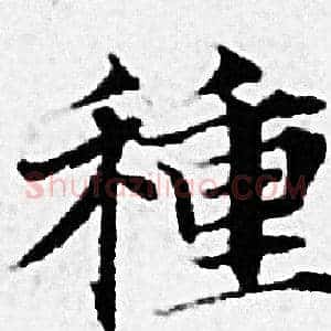 種