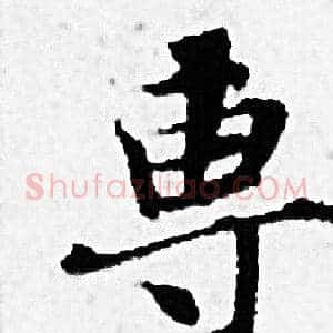 專