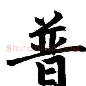 普