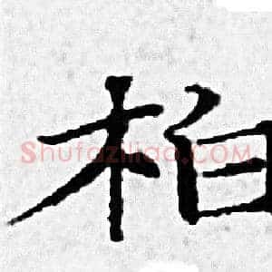 柏