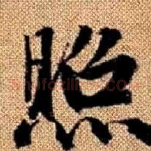 照