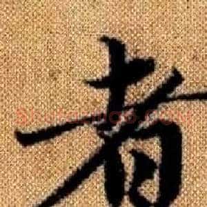 者