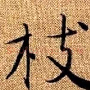 枝
