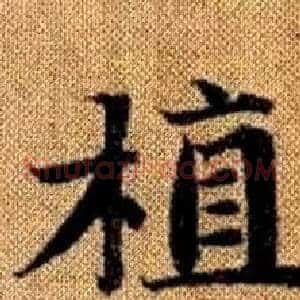 植