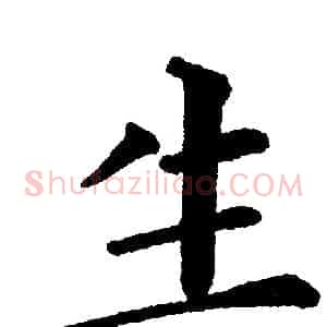 生