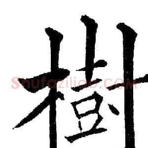樹