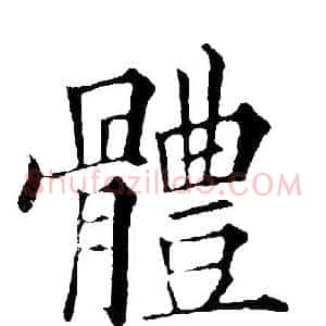 体
