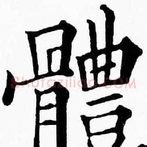 體