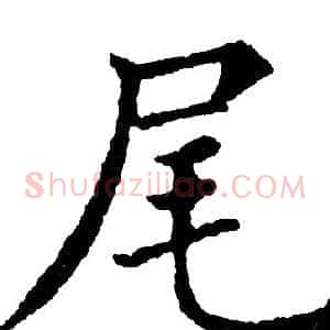 尾
