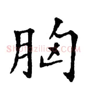 胸
