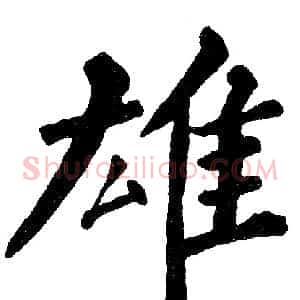 雄