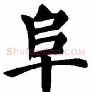 阜