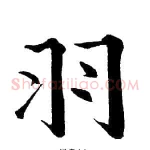 羽