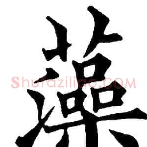 藻