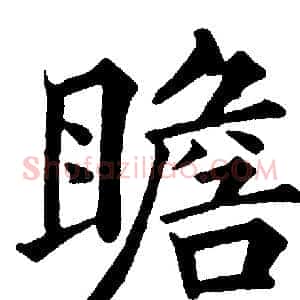 瞻