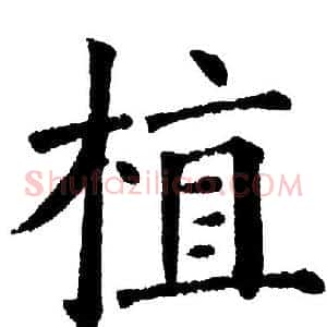 植