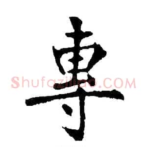 專