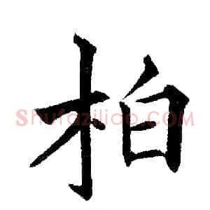 柏