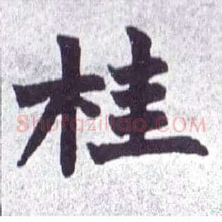桂