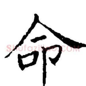命