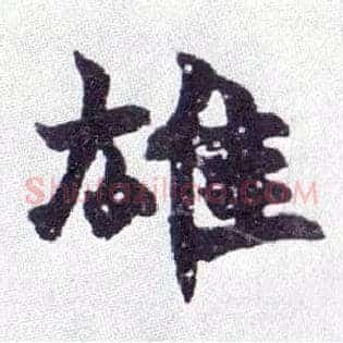 雄