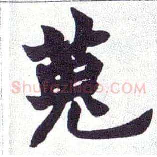 蒐