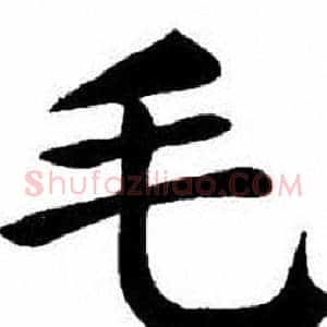毛