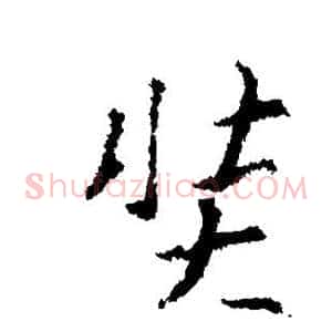 奘