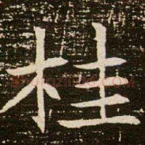 桂