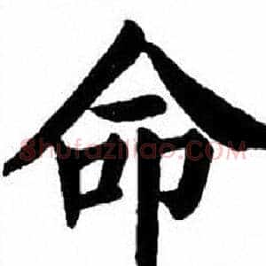 命