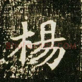 杨