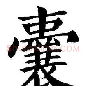 囊