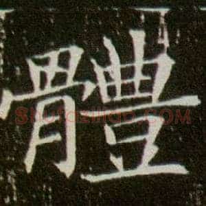 體