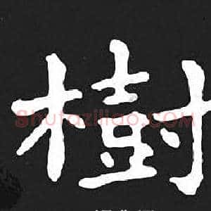 樹