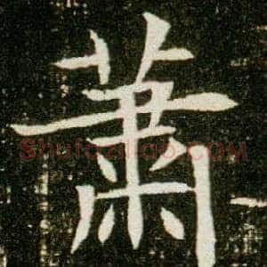 蕭