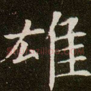雄