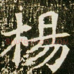 楊