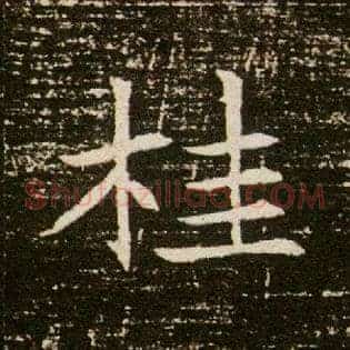 桂