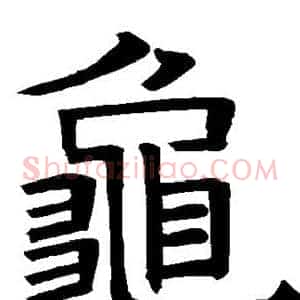 龟