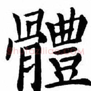 體