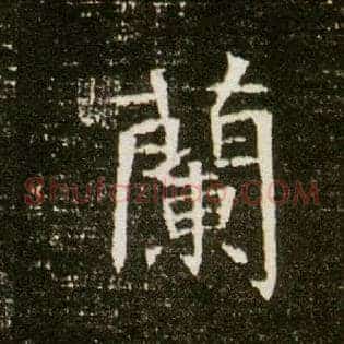 蘭