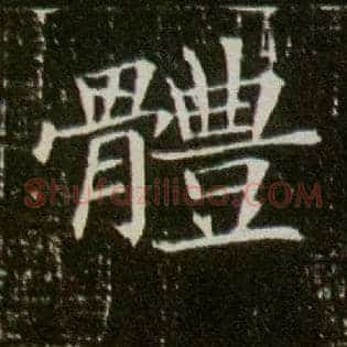 体