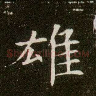 雄