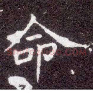 命
