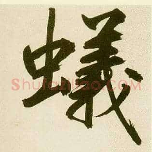 蚁