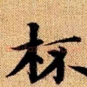杯