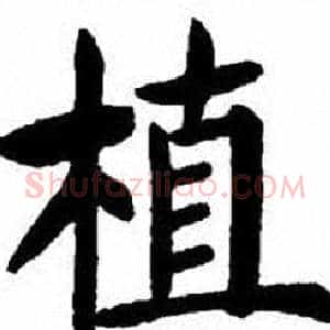 植